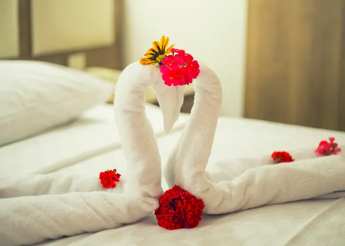 Royal Panacea 博德鲁姆