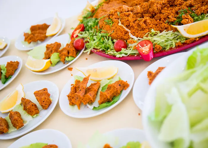 Royal Panacea 酒店 博德鲁姆