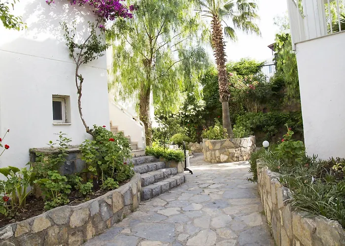 酒店 Royal Panacea 博德鲁姆