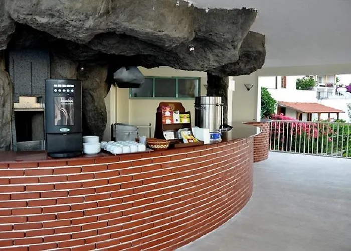 Royal Panacea 酒店 博德鲁姆